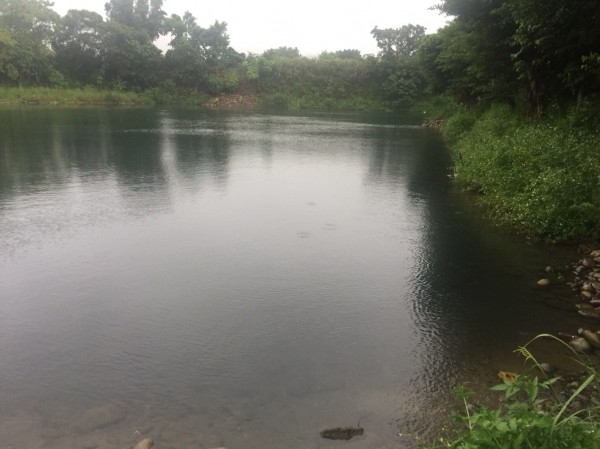 石園農場荒廢釣魚池因早期盜採砂石猖獗，其實是一口危險水域。（記者李容萍翻攝）