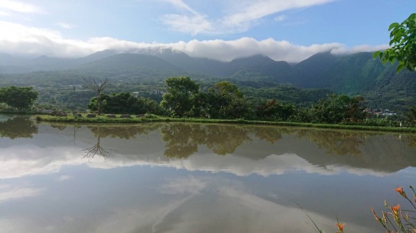 三芝田心景色倒映水面宛如一幅山水畫。（三芝樂天社區理事長杜國偵提供）