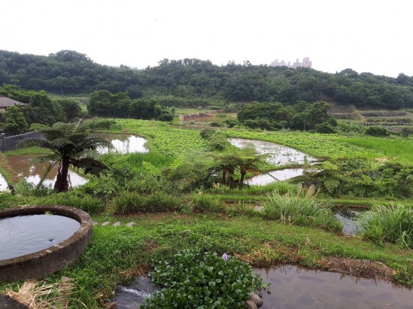 三芝共榮暨安康社區致力推動農村再生計畫，榮獲金牌農村。（農業局提供）