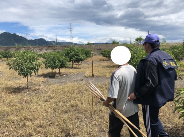 枋山男子為了口腹之慾，架設鳥仔踏捕捉伯勞被保七總隊第八大隊查獲。（記者蔡宗憲翻攝）