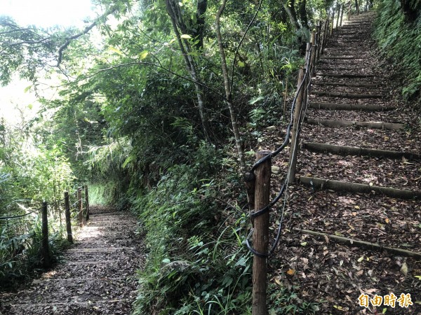 步道旁有原木護欄，每個階梯也有水保擋板保護，避免土石流失。（記者佟振國攝）