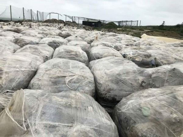 環保署長李應元允諾二個月解決澎湖垃圾問題，現在卻愈積愈多。（楊曜提供）