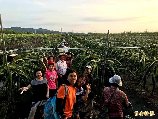 中秋連假往台南，南市觀光旅遊局特蒐中秋主題活動資訊及好康優惠，除旅館外，東山向陽民宿等業者也提供農遊體驗。（記者王涵平攝）