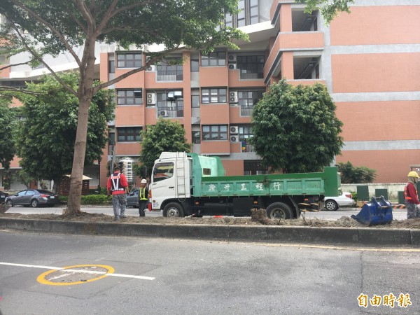 工務段挖除樹木，民代急跳腳。（記者顏宏駿攝）