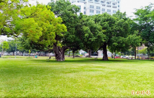 台中市綠地面積持續增加。（記者張菁雅攝）