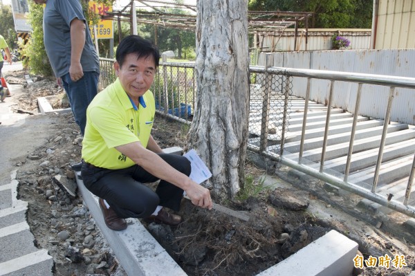 大甲開元路至長生路，以及外埔長生路至大馬路口一次性翻修，同時開挖樹穴。（記者張軒哲攝）