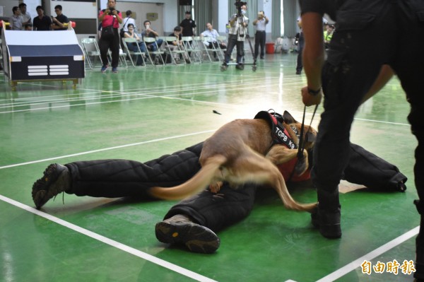 扮演小偷的警察倒臥地上，忍者仍不鬆口。（記者張瑞楨攝）