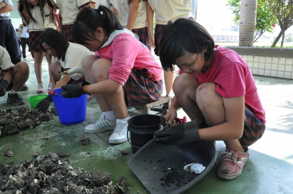 東石國小學生瞭解養蚵產業。（記者林宜樟翻攝）