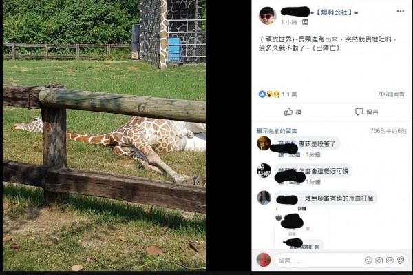 學甲區頑皮世界動物園今日下午傳出1頭長頸鹿暴斃，照片貼上網路後引起網友關心，園方證實長頸鹿「宵順」死亡，死因有待解剖釐清。（記者王涵平翻攝臉書）