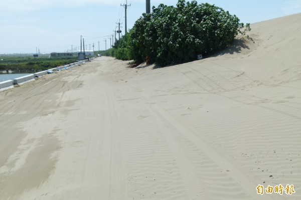 堤防坡面與防汛道路都被海砂覆蓋，景象誇張。（記者蔡宗勳攝）