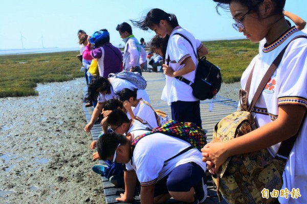 和平國中學子觀察高美濕地生態。（記者張軒哲攝）