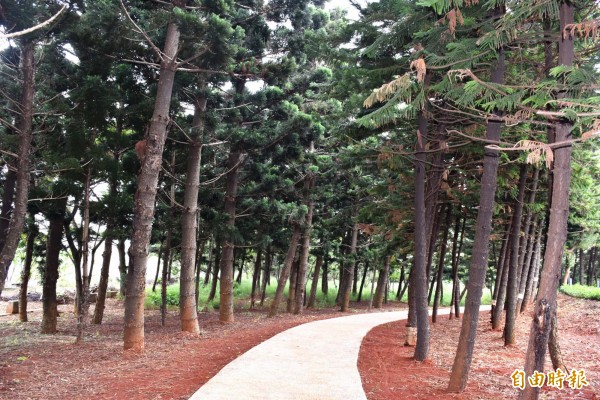 中壢人森呼吸的好所在!過嶺森林公園四季可欣賞不同景色。(記者李容萍攝)