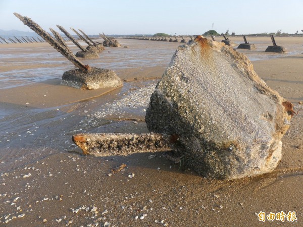 金門沙崗海灘「安東一營區」外的軍事地景軌條砦,疑因蚵道廠商施工不慎而傾倒。(記者吳正庭攝)