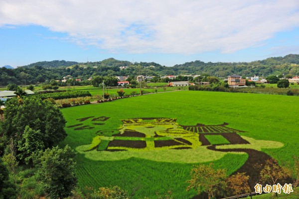 Q版「伯公」土地公農田彩繪出現在南庄鄉田野間,非常吸睛。(記者鄭名翔攝)