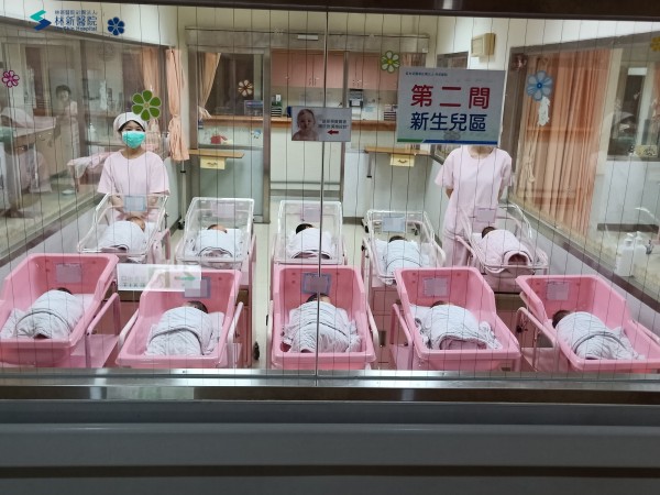 林新醫院有雙十寶寶。（記者蔡淑媛翻攝）