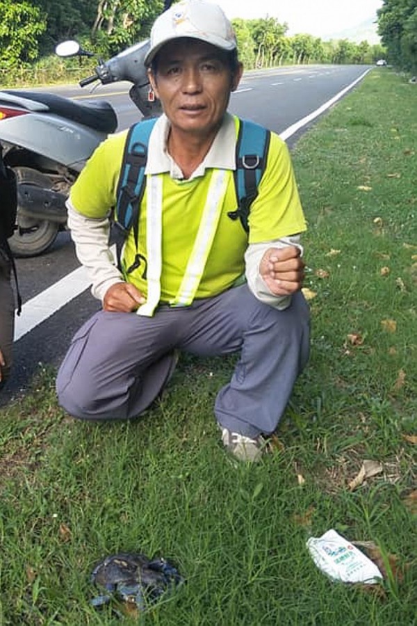 古清芳記錄下遭路殺輾碎的椰子蟹。(記者蔡宗憲翻攝)