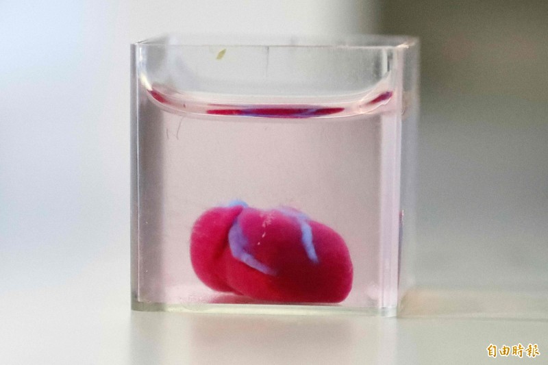 以色列科學家15日發表全球首個含人體組織和血管的3D列印心臟。(法新社)