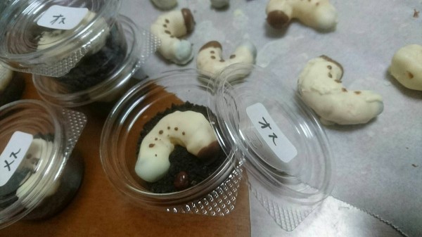網友就在推特分享他們特製的義理巧克力:蛆。(圖取自推特)