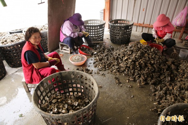 養蚵至今仍是漁光島的產業大宗，也成為在地的人文特色風景。（記者潘自強攝）