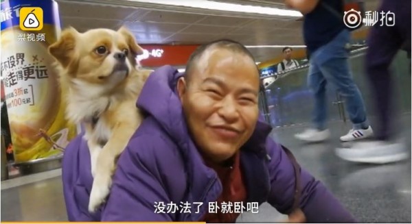 男子養狗給牠吃狗糧，自己吃饅頭。（圖擷取自梨視頻）