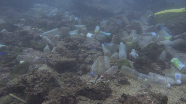 陳信助今與一群潛水志工在和平島淨海時,發現「寶特瓶海葬場」。(陳信助提供)
