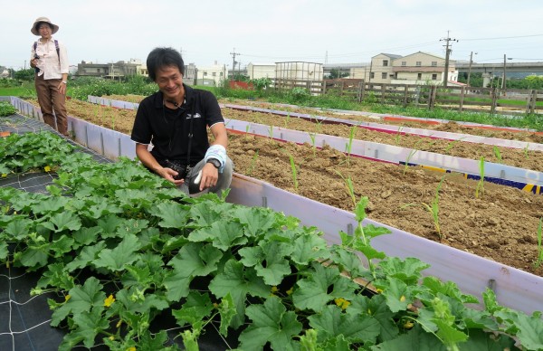 双源魚菜共生農場主人曾文鍇細心介紹栽種的植物。（記者金穎清攝）