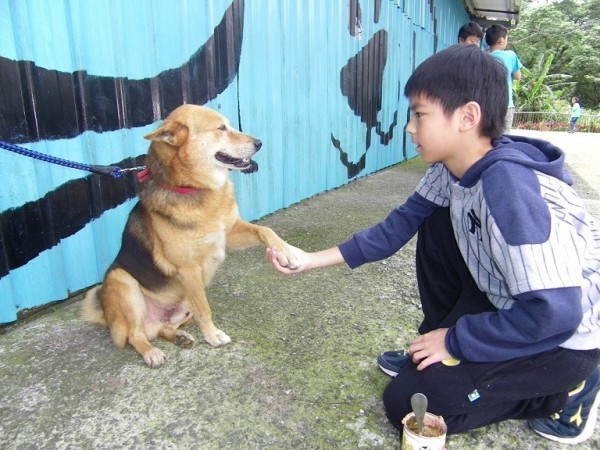 新北市動保處成立「毛寶貝生命教育中心」，舉辦「動保小小兵」及「動保愛心大使」體驗營。（動保處提供）