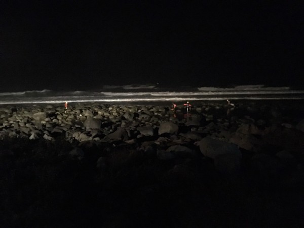 加拿大女子凌晨2時，於新北市石門白沙灣被浪捲走，救難人員搜救。（記者吳昇儒翻攝）