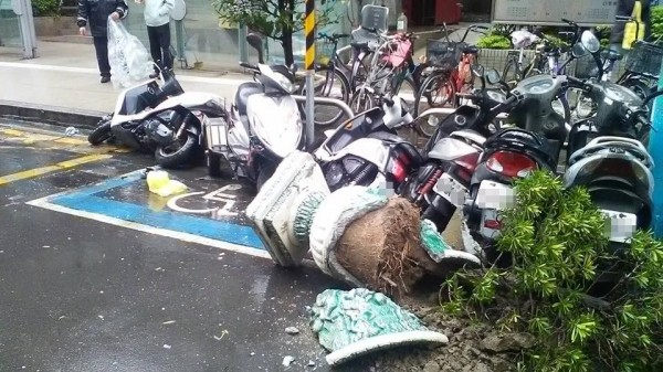 小客車把附近大型盆栽，與停在停車格中的機車全數撞毀。（圖擷取自爆料公社）