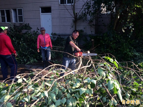 大伙兒合力砍樹、剪枝、清掃。(記者廖淑玲攝)