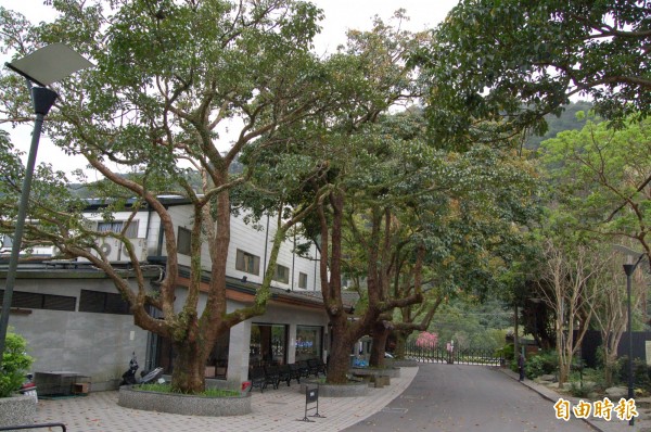 受到瑪莉亞颱風影響,大板根森林溫泉酒店全館200多間房,退到只剩1、20間,退房率高達9成。(資料照)