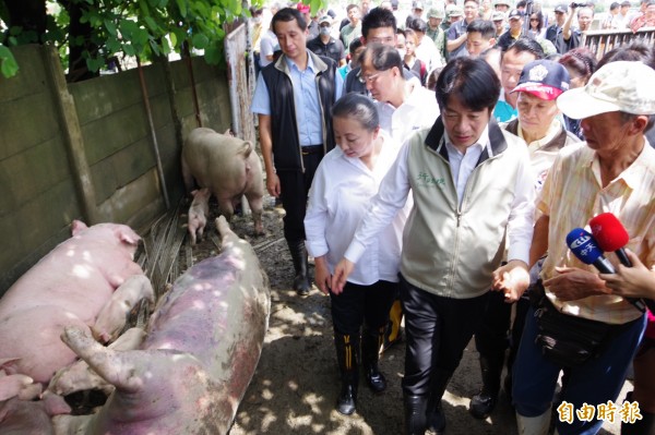 行政院長賴清德前往朴子市的養豬場勘災。（記者曾迺強攝）