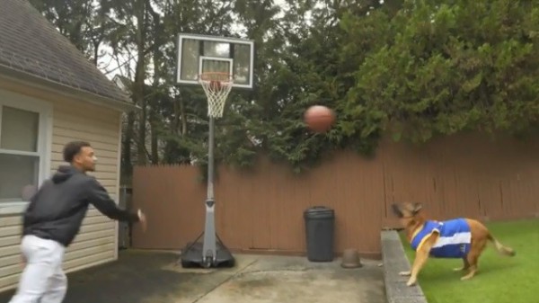 國外一名花式籃球員上傳了一支與狗狗Kao合作完成的「空接」(Alley-oop)灌籃影片。(圖擷取自IG maxwellpearce1)