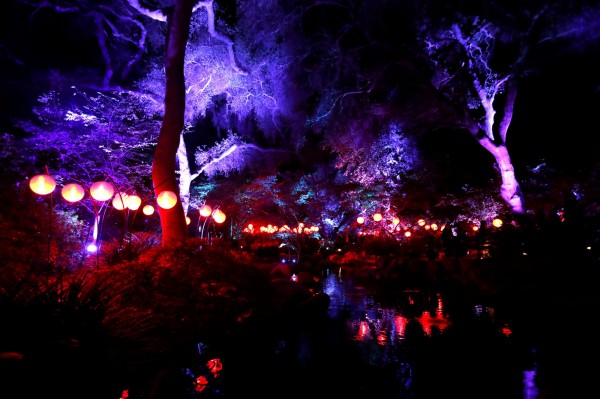 黑夜中遊客穿梭於被五彩燈光照亮的森林中,有如置身魔法童話世界。(路透)