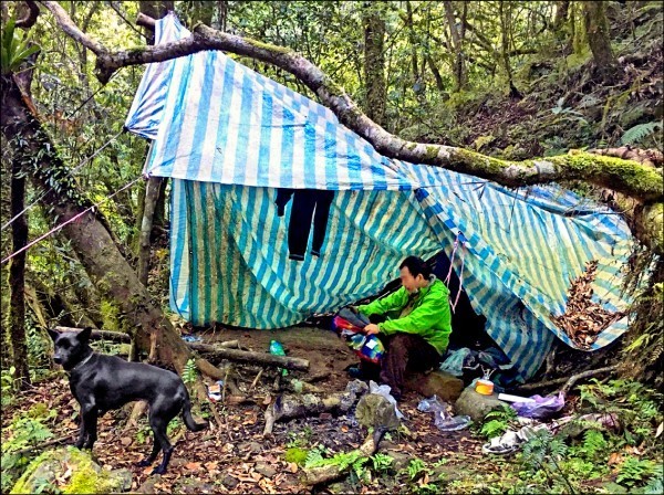 邱姓男子跟愛犬「蜜雪兒」在新竹縣尖石鄉山區受困，1人1犬就靠1包花生撐7天獲救。（圖由新竹縣政府提供）