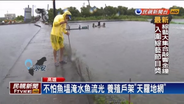 高雄永安的養殖戶用塑膠網加漁網，防止魚群跑光光。（圖擷取自民視新聞）