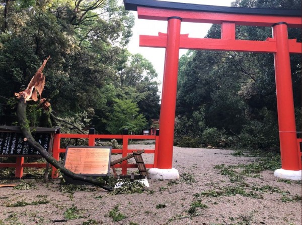下鴨神社內部有大量斷枝落葉。(圖擷取自Twitter)