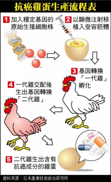 日本產業技術綜合研究所關西中心利用基因改造技術，成功地讓實驗雞生出含有抗癌成分「β干擾素」（IFN-β）的雞蛋。