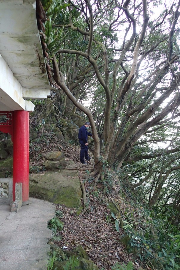 熱炒店羅姓老闆載著坐檯小姐到山區涼亭「炒飯」，並通知彭姓好友等人窺拍賞英姿。（示意圖與文無關）（資料照，記者余衡攝）
