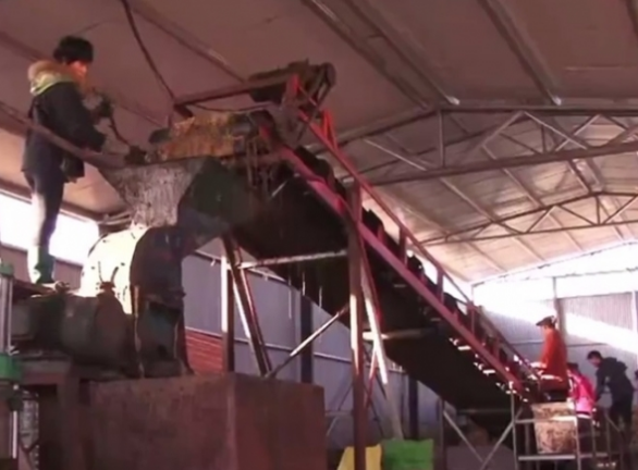 章丘章丘市餐廚垃圾處理中心有座特殊廚房，這台機器絞碎的廚餘可供3億隻蟑螂享用。《取自網路》