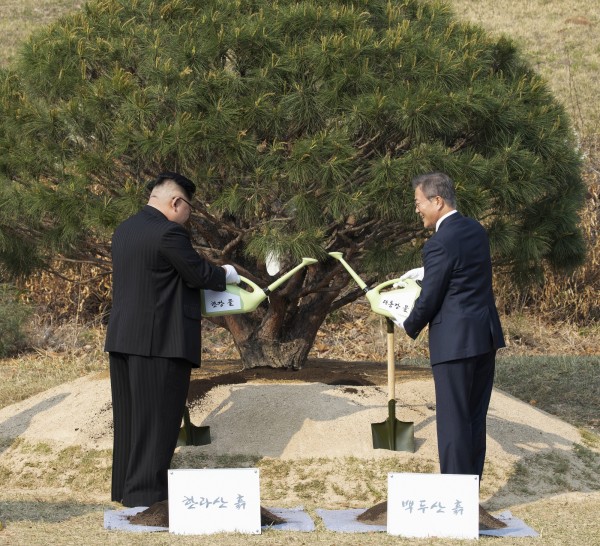 金正恩與文在寅在共植和平之樹後，分別於土堆上撒上長白山、濟州島漢拿山的深色土壤，澆下大同江、漢江的水，代表兩韓水土同源。（歐新社）