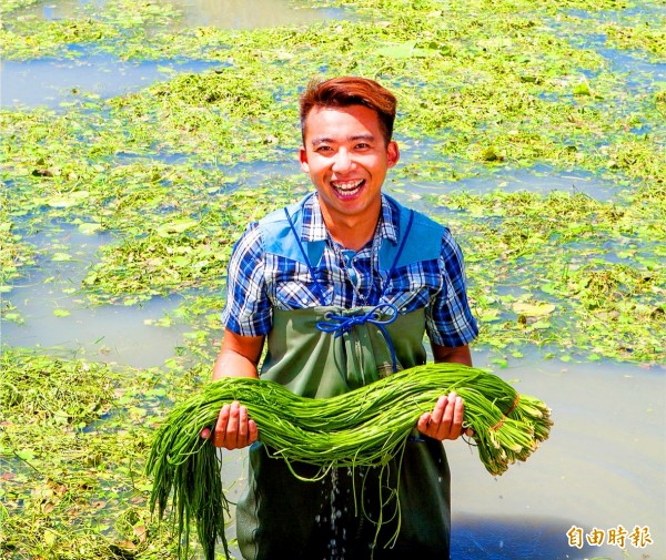 Former hair stylist Chiu Cheng-hung holds up a bunch of water lotus shoots on Thursday at his farm in Kaohsiung.
Photo: Tsai Ching-hua, Taipei Times Former hair stylist Chiu Cheng-hung holds up a bunch of water lotus shoots on Thursday at his farm in Kaohsiung.
Photo: Tsai Ching-hua, Taipei Times