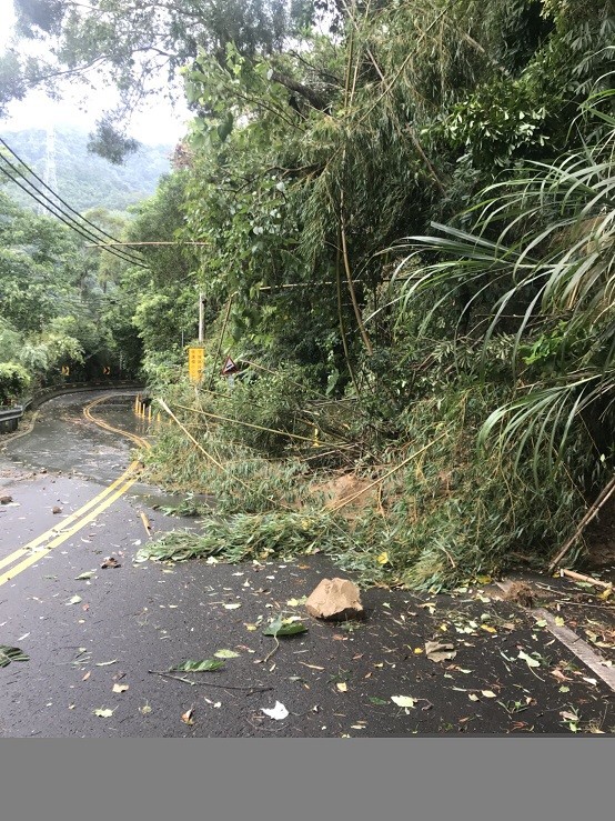 南庄山區經一夜狂風暴雨,樹倒落石砸路,所幸災情不嚴重,皆已陸續搶通。(記者鄭名翔翻攝)