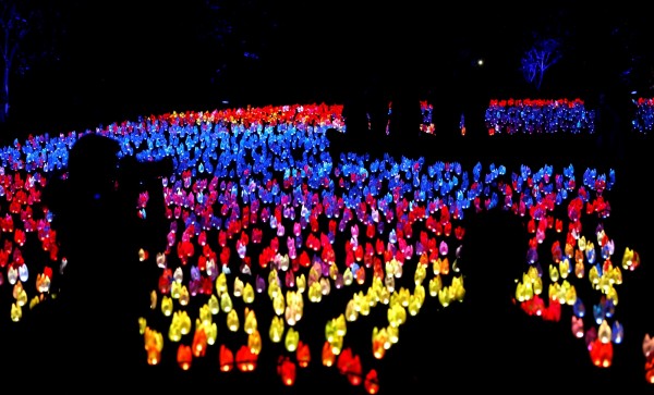 美國加州拉肯亞達的「魔法森林」燈光秀於近日展開,吸引許多遊客前往遊玩。(路透)