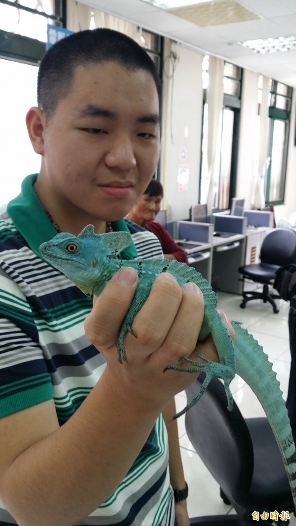 失主吳男拿著失而復得的雙冠蜥。(記者蔡彰盛攝)