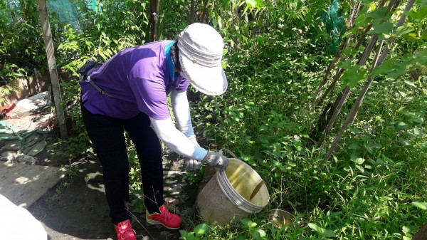 台中市登革熱持續新增病例，防疫應隨時清除積水容器。（記者蔡淑媛翻攝）