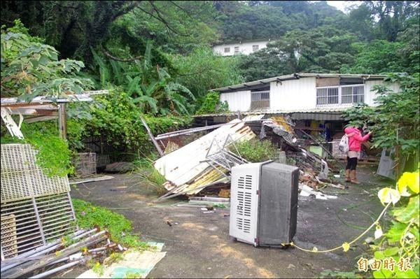 新北市動保處查獲林口非法繁殖場，現場環境髒亂不堪。（資料照）