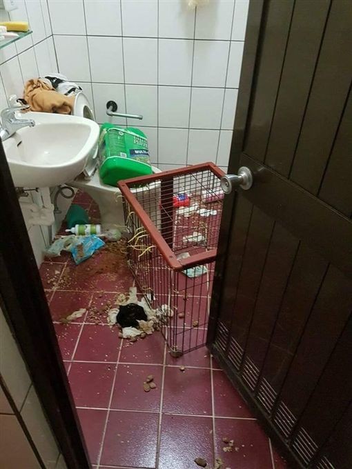 該名房東近日在臉書社團「爆廢公社」貼文寫到「請問我這個退租的房客,平常怎麼過生活的?」(圖截自爆廢公社臉書)