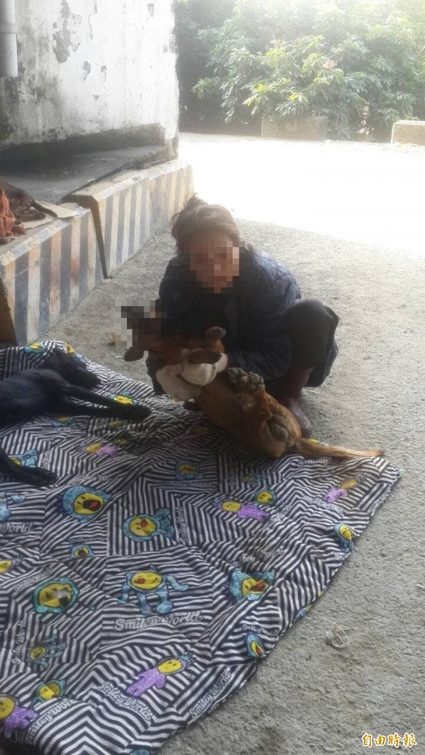 愛媽忙善後。(圖由台南市流浪動物愛護協會提供)