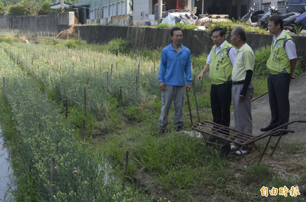 嘉義市長涂醒哲到港坪花卉區了解康乃馨盛產情況，建議把母親節改母親月，解決康乃馨銷售期過短問題。（記者丁偉杰攝）